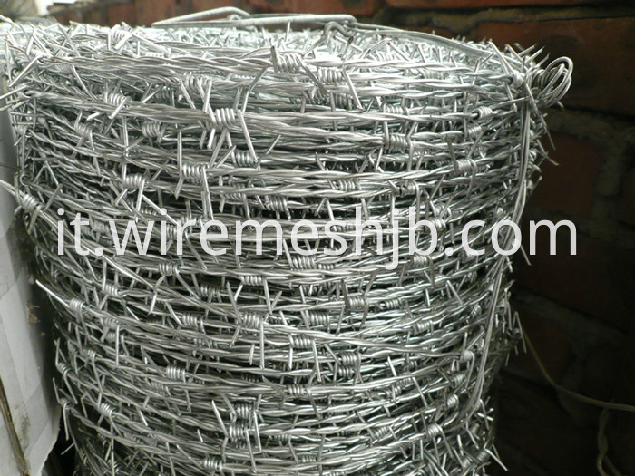 Barbed Iron Wire